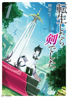 I Was a Sword When I Reincarnated (WN)